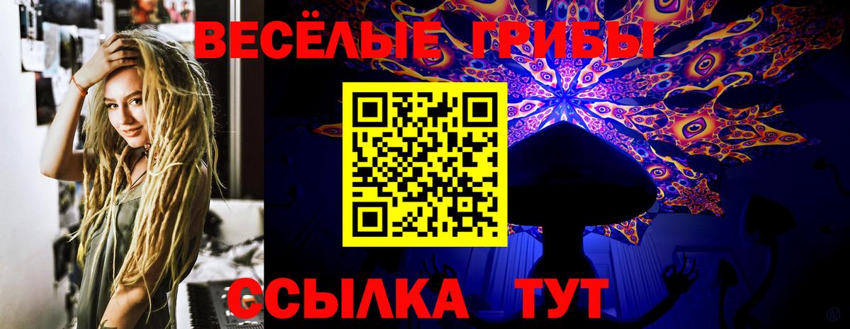 Галлюциногенные грибы Psilocybe Усть-Илимск